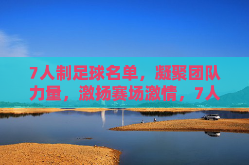 7人制足球名单，凝聚团队力量，激扬赛场激情，7人制足球名单，凝聚团队力量，激扬赛场激情