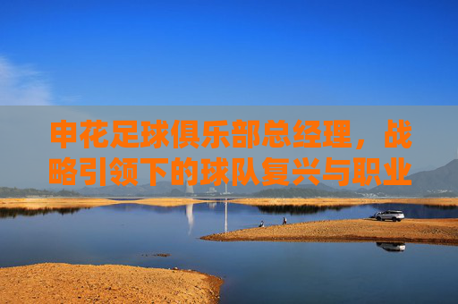 申花足球俱乐部总经理，战略引领下的球队复兴与职业化探索，申花足球俱乐部总经理，战略引领下的球队复兴与职业化探索