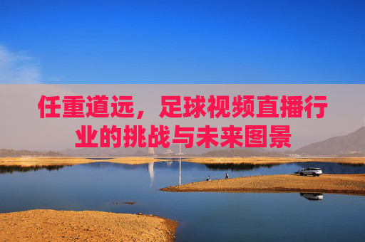 任重道远,足球视频直播行业的挑战与未来图景