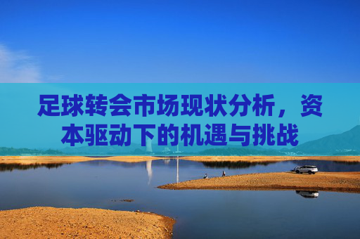 足球转会市场现状分析,资本驱动下的机遇与挑战