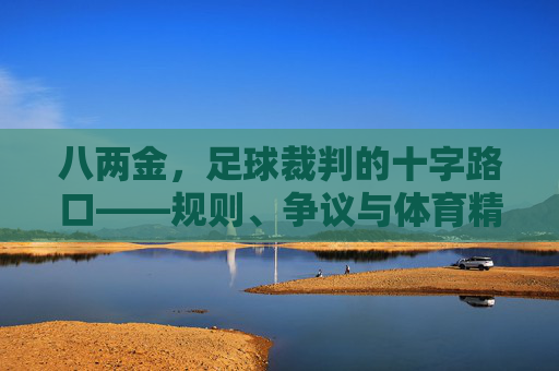 八两金,足球裁判的十字路口——规则、争议与体育精神的拷问