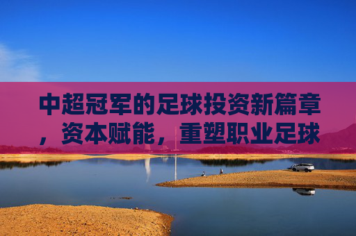 中超冠军的足球投资新篇章,资本赋能,重塑职业足球发展格局