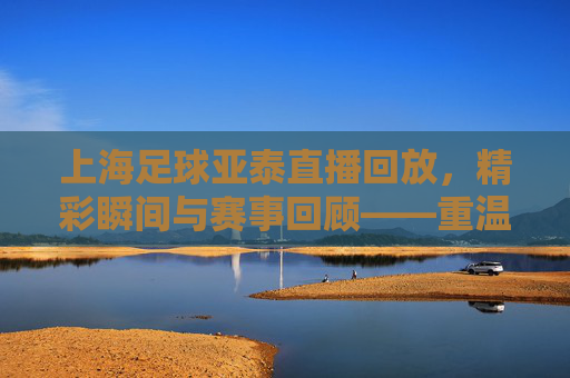上海足球亚泰直播回放,精彩瞬间与赛事回顾——重温赛场激情,解析战术细节