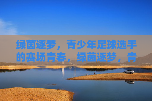 绿茵逐梦，青少年足球选手的赛场青春，绿茵逐梦，青少年足球选手的赛场青春