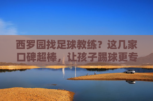 西罗园找足球教练?这几家口碑超棒,让孩子踢球更专业!西罗园找足球教练?这几家口碑超棒,让孩子踢球更专业!