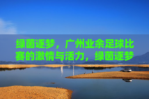绿茵逐梦，广州业余足球比赛的激情与活力，绿茵逐梦，广州业余足球比赛的激情与活力