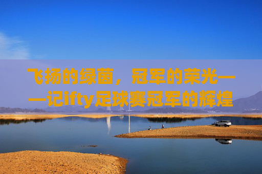 飞扬的绿茵,冠军的荣光——记ifty足球赛冠军的辉煌征程