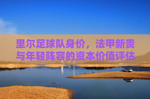 里尔足球队身价,法甲新贵与年轻阵容的资本价值评估,里尔足球队身价,法甲新贵与年轻阵容的资本价值评估