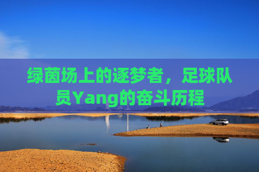 绿茵场上的逐梦者，足球队员Yang的奋斗历程