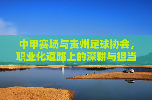 中甲赛场与贵州足球协会,职业化道路上的深耕与担当——贵州足球在中甲联赛中的发展轨迹与未来展望