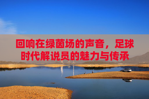 回响在绿茵场的声音,足球时代解说员的魅力与传承
