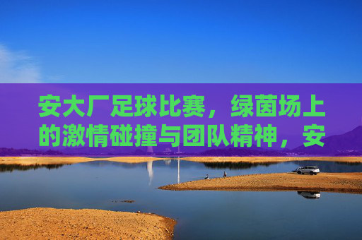 安大厂足球比赛，绿茵场上的激情碰撞与团队精神，安大厂足球比赛，绿茵场上的激情碰撞与团队精神