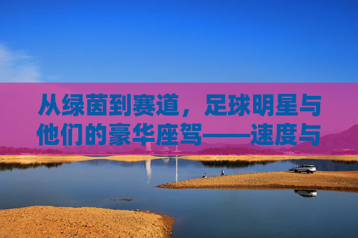 从绿茵到赛道,足球明星与他们的豪华座驾——速度与激情的延伸