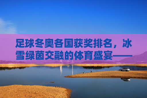 足球冬奥各国获奖排名,冰雪绿茵交融的体育盛宴——各国在冬季奥运会足球项目中的表现与荣誉