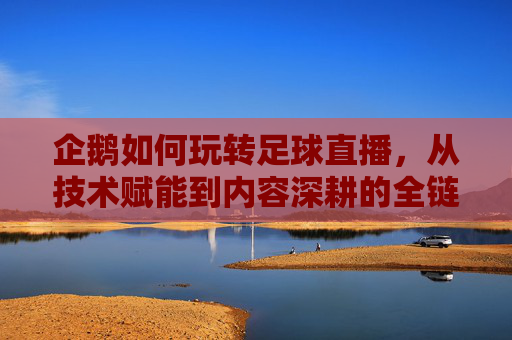 企鹅如何玩转足球直播，从技术赋能到内容深耕的全链路解析，企鹅如何玩转足球直播，从技术赋能到内容深耕的全链路解析