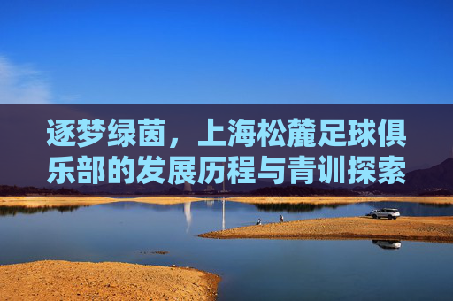 逐梦绿茵，上海松麓足球俱乐部的发展历程与青训探索，逐梦绿茵，上海松麓足球俱乐部的发展历程与青训探索