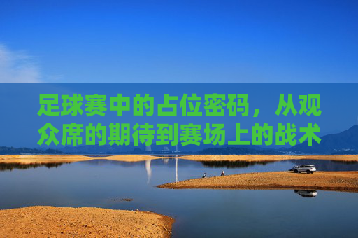 足球赛中的占位密码，从观众席的期待到赛场上的战术博弈，足球赛中的占位密码，从观众席的期待到赛场上的战术博弈