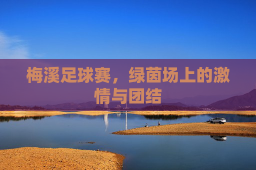 梅溪足球赛，绿茵场上的激情与团结