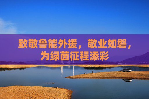 致敬鲁能外援，敬业如磐，为绿茵征程添彩