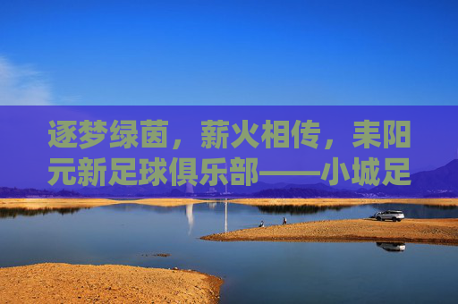 逐梦绿茵,薪火相传,耒阳元新足球俱乐部——小城足球的活力引擎与希望之光
