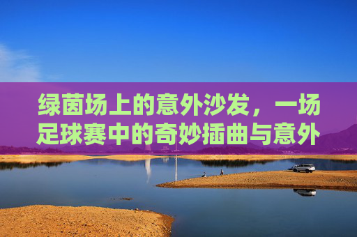 绿茵场上的意外沙发，一场足球赛中的奇妙插曲与意外转折