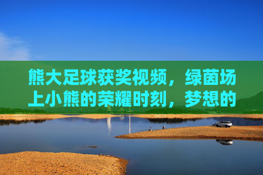 熊大足球获奖视频，绿茵场上小熊的荣耀时刻，梦想的绽放