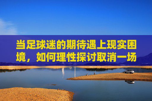 当足球迷的期待遇上现实困境，如何理性探讨取消一场联赛的可能性，足球迷的期待遇现实困境，理性探讨取消一场联赛的可能性