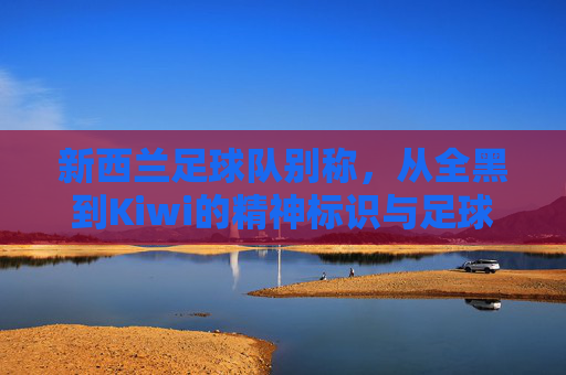 新西兰足球队别称，从全黑到Kiwi的精神标识与足球文化，新西兰足球队别称，从全黑到Kiwi的精神标识与足球文化