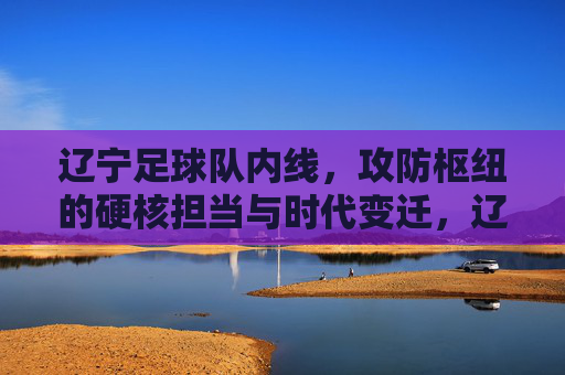 辽宁足球队内线，攻防枢纽的硬核担当与时代变迁，辽宁足球队内线，攻防枢纽的硬核担当与时代变迁