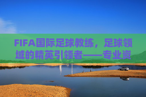 FIFA国际足球教练,足球领域的精英引领者——专业资质与全球影响力的体现,FIFA国际足球教练,足球领域的精英引领者——专业资质与全球影响力的体现