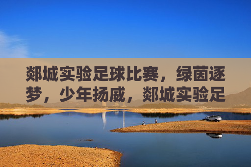 郯城实验足球比赛，绿茵逐梦，少年扬威，郯城实验足球赛，绿茵逐梦，少年扬威