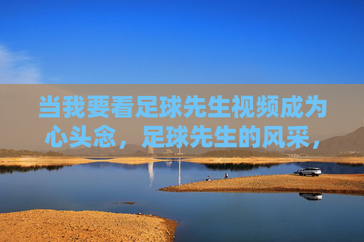 当我要看足球先生视频成为心头念，足球先生的风采，在屏幕里重新点燃热情，足球先生视频成心头念，风采点燃屏幕热情