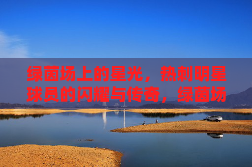 绿茵场上的星光，热刺明星球员的闪耀与传奇，绿茵场上的星光，热刺明星球员的闪耀与传奇
