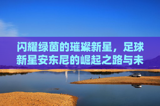 闪耀绿茵的璀璨新星，足球新星安东尼的崛起之路与未来展望