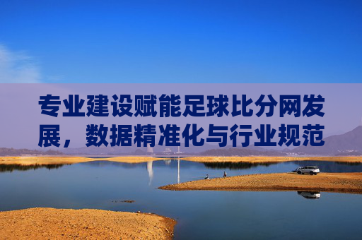 专业建设赋能足球比分网发展,数据精准化与行业规范化之路