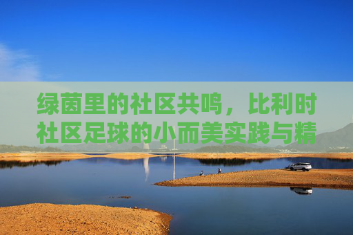 绿茵里的社区共鸣，比利时社区足球的小而美实践与精神内核