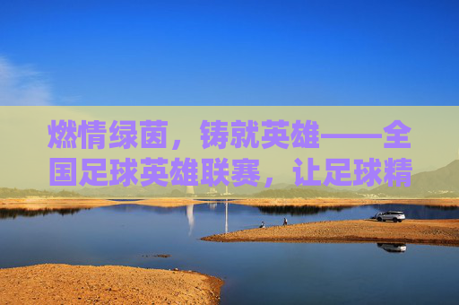 燃情绿茵，铸就英雄——全国足球英雄联赛，让足球精神在全国范围内绽放光芒