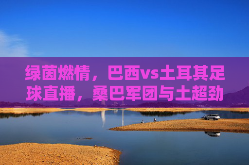 绿茵燃情,巴西vs土耳其足球直播,桑巴军团与土超劲旅的激情碰撞