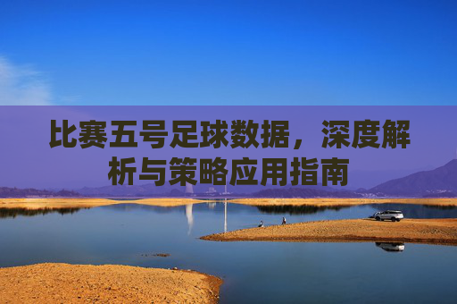 比赛五号足球数据,深度解析与策略应用指南