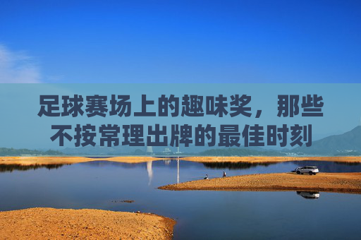 足球赛场上的趣味奖，那些不按常理出牌的最佳时刻