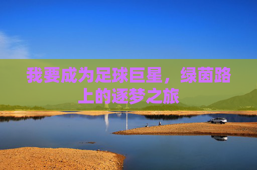 我要成为足球巨星,绿茵路上的逐梦之旅
