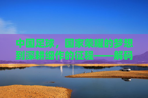 中国足球,国家荣耀的梦想到深耕细作的征程——解码中国足球的崛起与前行