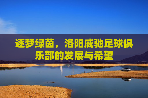 逐梦绿茵,洛阳威驰足球俱乐部的发展与希望
