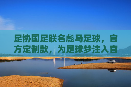 足协国足联名彪马足球，官方定制款，为足球梦注入官方权威与激情