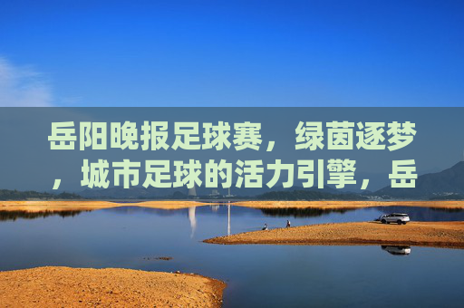 岳阳晚报足球赛,绿茵逐梦,城市足球的活力引擎,岳阳晚报足球赛,绿茵逐梦,城市足球的活力引擎