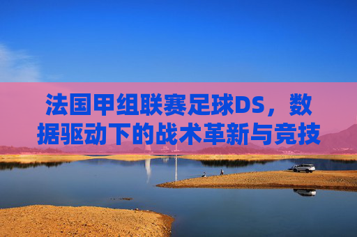 法国甲组联赛足球DS,数据驱动下的战术革新与竞技新篇章