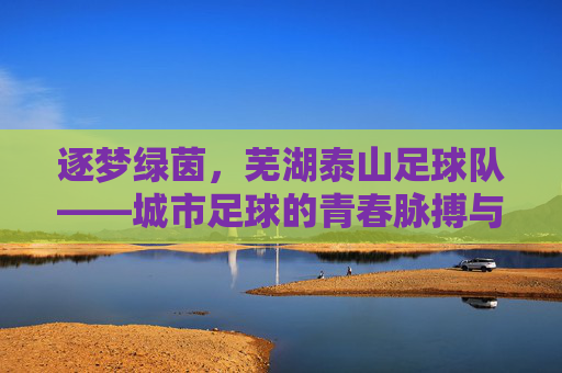 逐梦绿茵,芜湖泰山足球队——城市足球的青春脉搏与时代印记,逐梦绿茵,芜湖泰山足球队——城市足球的青春脉搏与时代印记