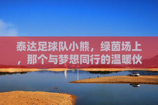 泰达足球队小熊,绿茵场上,那个与梦想同行的温暖伙伴