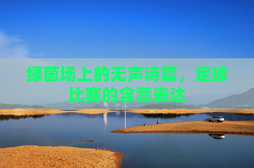 绿茵场上的无声诗篇,足球比赛的含蓄表达