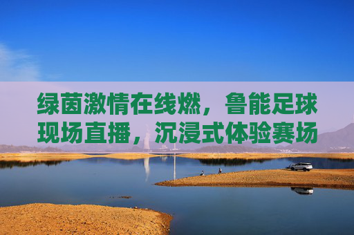 绿茵激情在线燃，鲁能足球现场直播，沉浸式体验赛场热血与荣耀